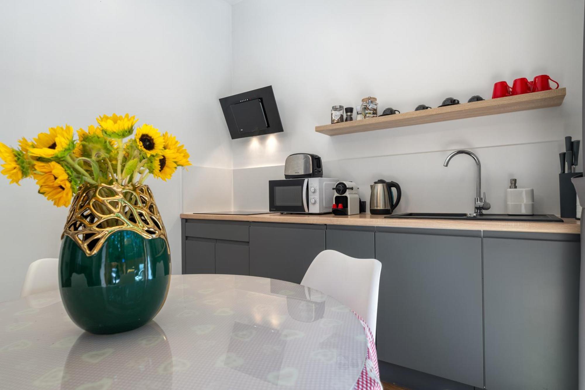 Jarosta & Spa, Ac -free Parking Zakopane